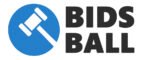 BidsBall.com